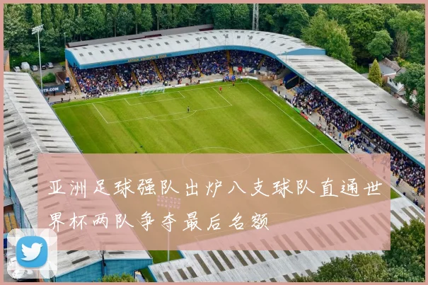 亚洲足球强队出炉八支球队直通世界杯两队争夺最后名额