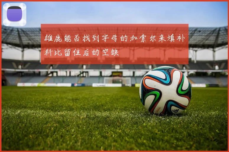 雄鹿能否找到字母的加索尔来填补科比留住后的空缺