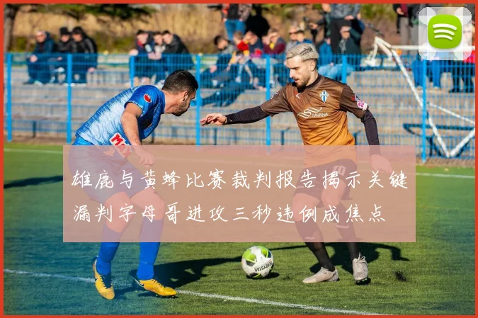 雄鹿与黄蜂比赛裁判报告揭示关键漏判字母哥进攻三秒违例成焦点