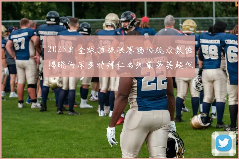 2025年全球顶级联赛场均观众数据揭晓河床多特拜仁名列前茅英超仅排第20位