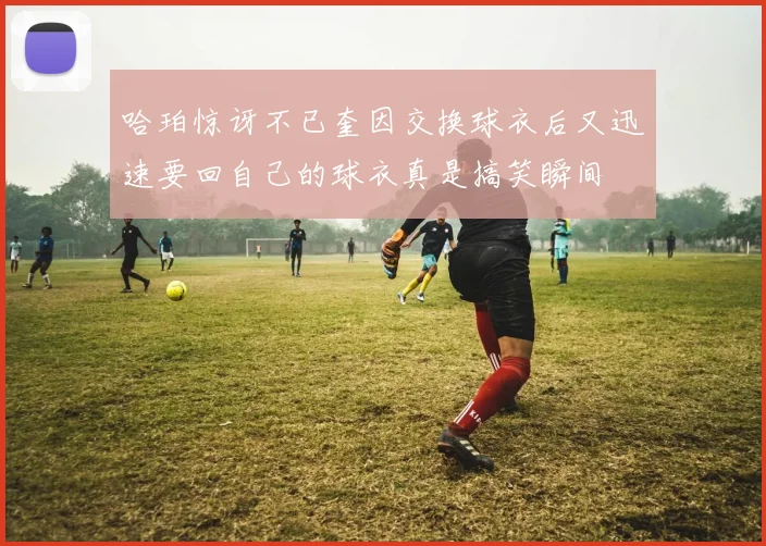 哈珀惊讶不已奎因交换球衣后又迅速要回自己的球衣真是搞笑瞬间