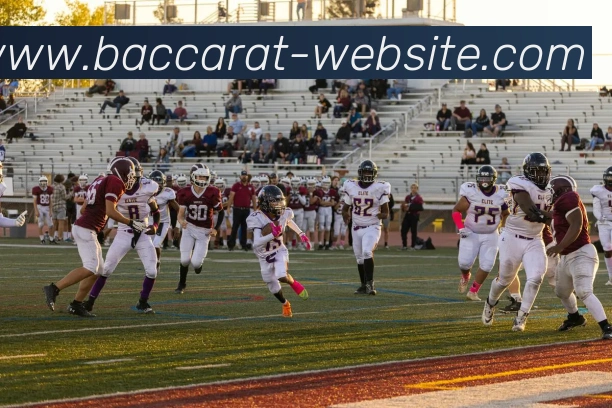 多媒体互动体验