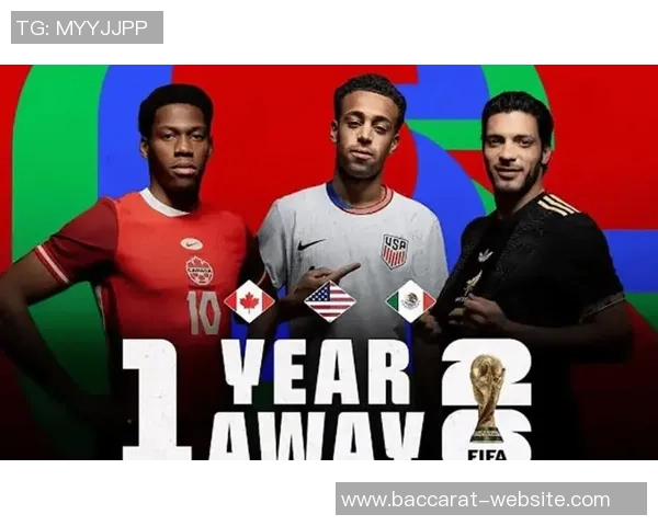 世界杯参赛队伍已定28支亚非直通名额全部确认